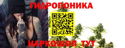 Альфа ПВП Аргун