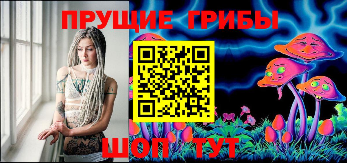 Галлюциногенные грибы MAGIC MUSHROOMS  Псилоцибиновые грибы Psilocybine cubensis  Белореченск  Вход с VPN 